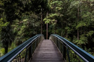 crossing that bridge