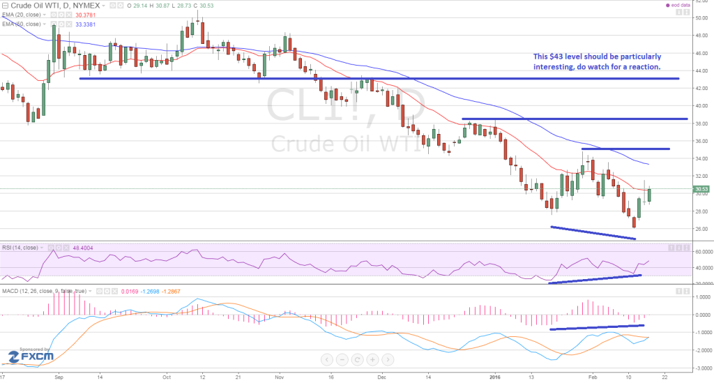 Oil daily