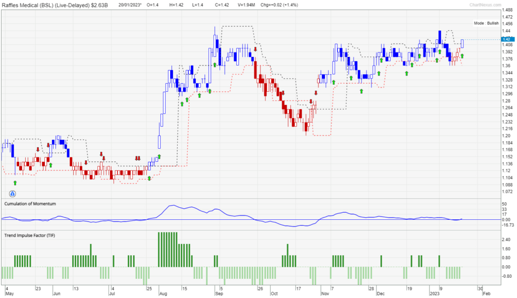 Chart of Raffles Medical