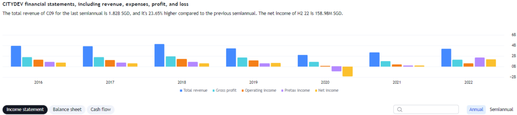 CityDev Income Statement