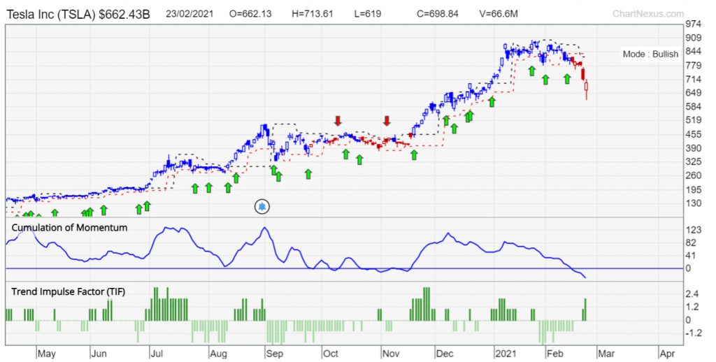 Tesla TSLA Feb 2021